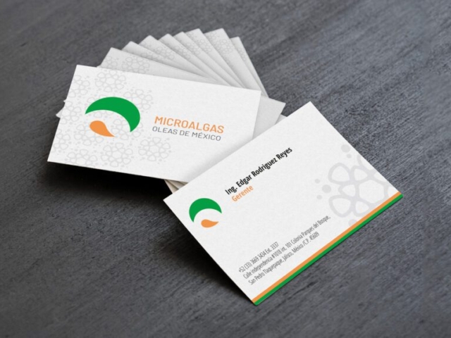 Business card design for Microalgas